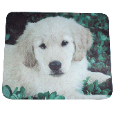 Mouse Pad quadrado